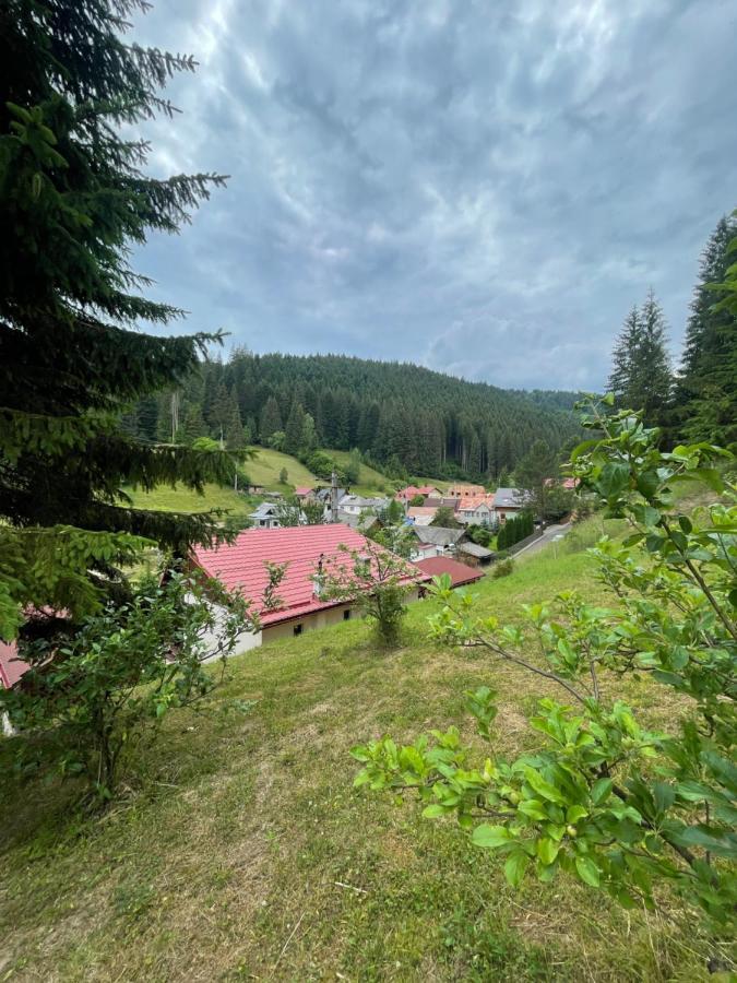 Casa De Vacanta Chesa Borsec Buitenkant foto